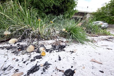 Auch zwei Tage nach dem Vorfall sind die Spuren noch zu sehen. Foto: Uli Deck/dpa