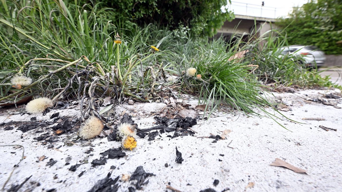 Auch zwei Tage nach dem Vorfall sind die Spuren noch zu sehen. Foto: Uli Deck/dpa