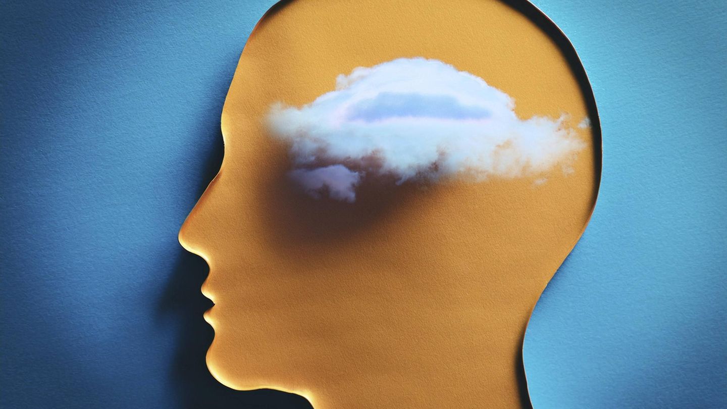 Ja-Nein-Quiz: Schnell gelöst ist halb gewonnen: Testen Sie Ihr Wissen im Quiz!