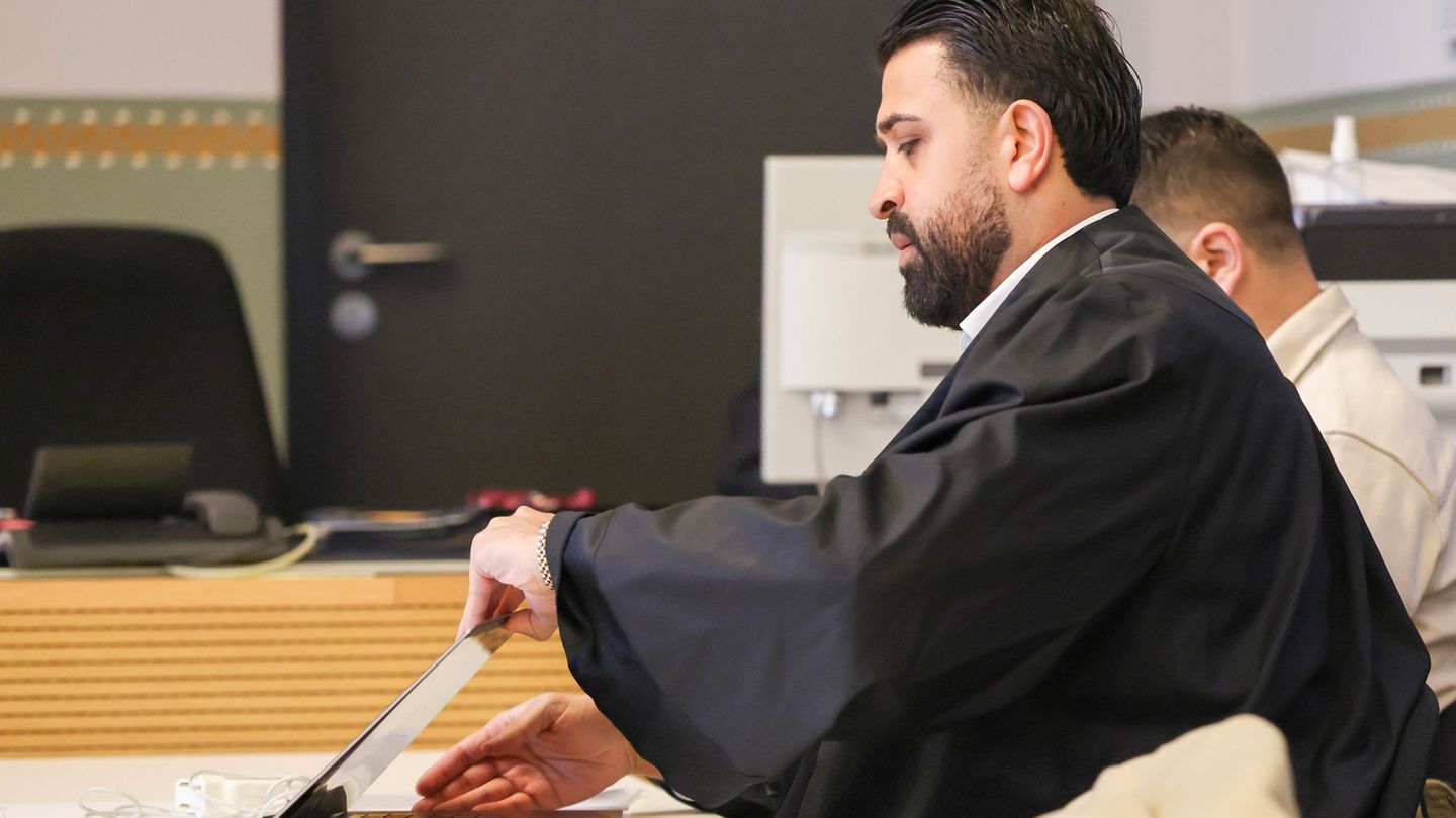 Im Prozess um eine Beißattacke auf ein Kleinkind hat der angeklagte Hundehalter ein Geständnis abgelegt. Foto: Christian Charisi