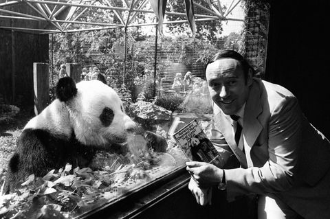 Der Biologe Desmond Morris - hier eine Aufnahme von 1981 - wurde mit seinem Buch "Der nackte Affe" weltbekannt. Foto: Pa/PA Wire