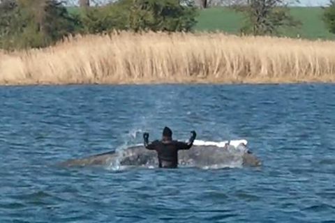 Helfer bespritzen Wal mit Wasser – Unruhe im Helfer-Team