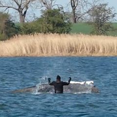 Helfer bespritzen Wal mit Wasser – Unruhe im Helfer-Team