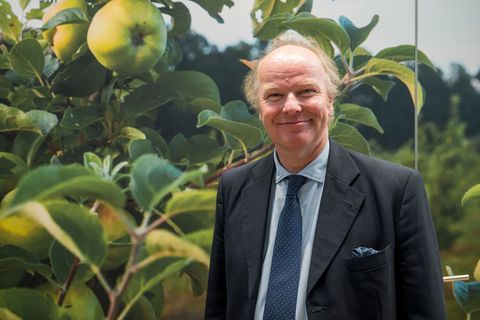 Der Geschäftsführer sieht den Fall als existenzgefährdend. (Archivbild) Foto: Daniel Vogl/dpa