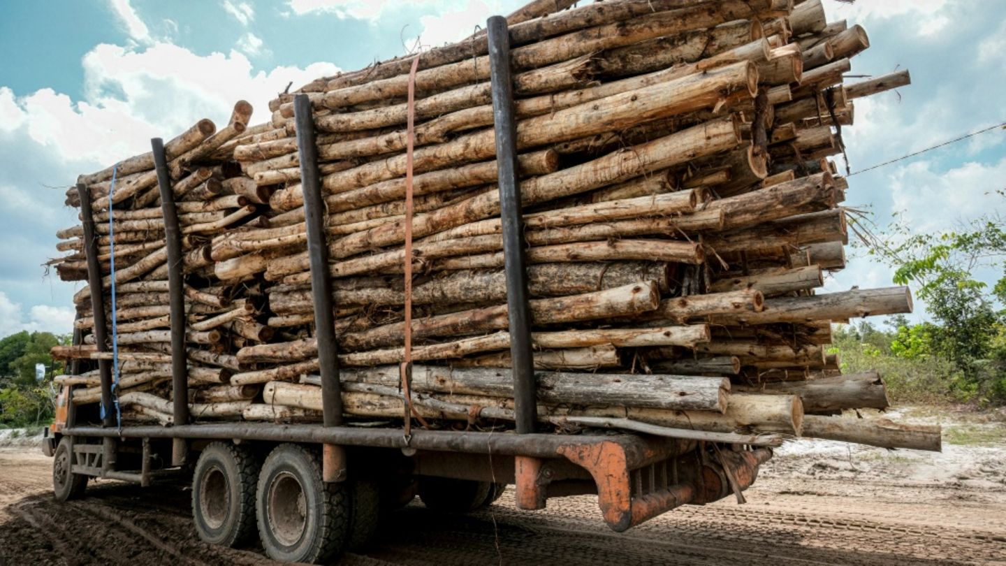 Holztransport in Indonesien im Februar 2026