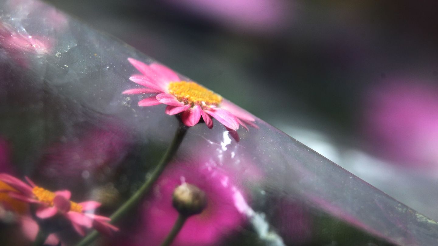 Die langfristigen Klimamodelle der Wetterexperten erwarten eher höhere Temperaturen. (Archivbild) Foto: Karl-Josef Hildenbrand/d