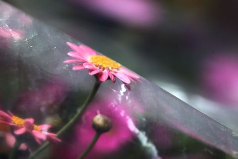 Die langfristigen Klimamodelle der Wetterexperten erwarten eher höhere Temperaturen. (Archivbild) Foto: Karl-Josef Hildenbrand/d