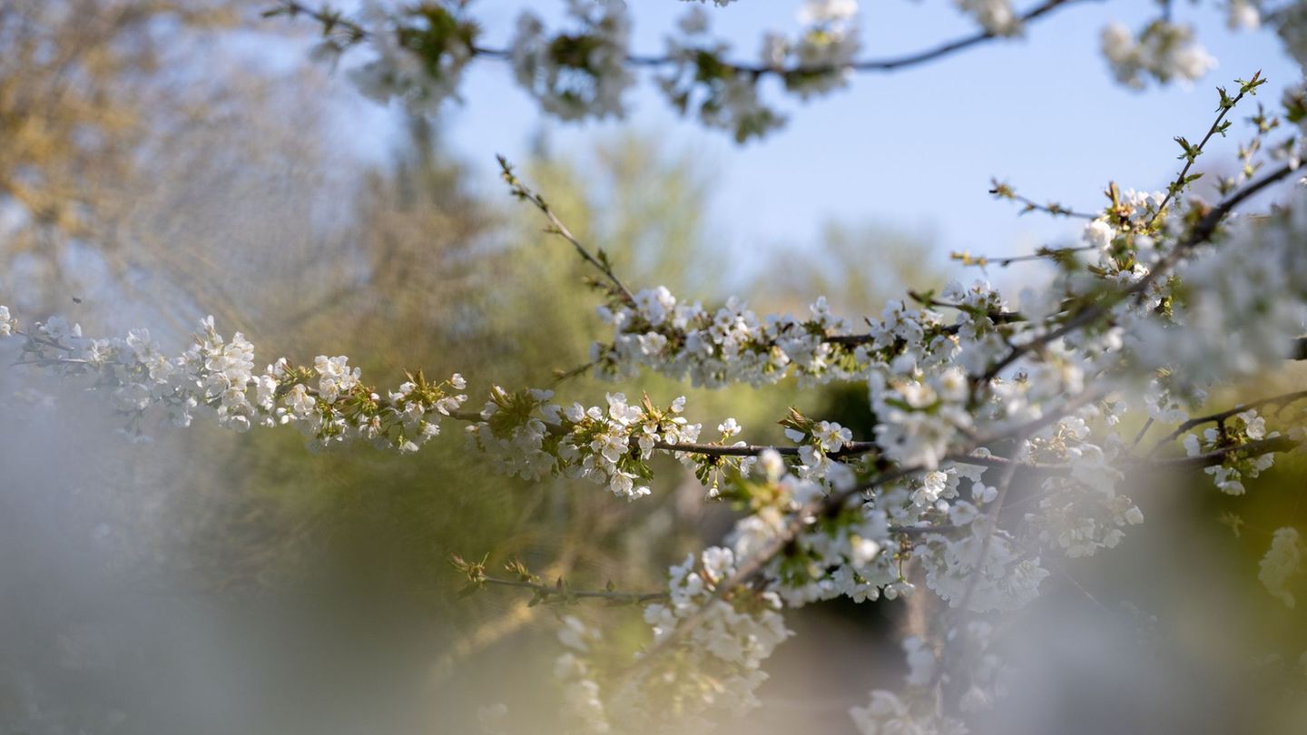 Die höchsten Temperaturen erwartet der Deutsche Wetterdienst mit bis zu 19 Grad am Untermain. (Archiv) Foto: Pia Bayer/dpa