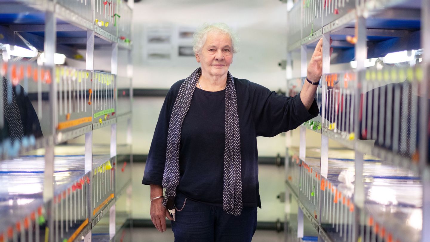 Christiane Nüsslein-Volhard wünscht sich mehr Wertschätzung für Naturwissenschaften. (Archivbild) Foto: Marijan Murat/dpa