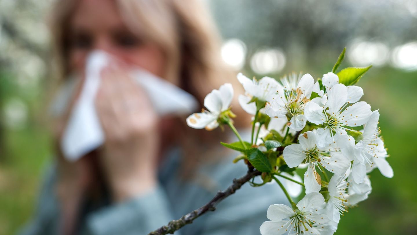 Mit dem richtigen Verhalten können Allergie-Geplagte ihren Heuschnupfen etwas lindern.