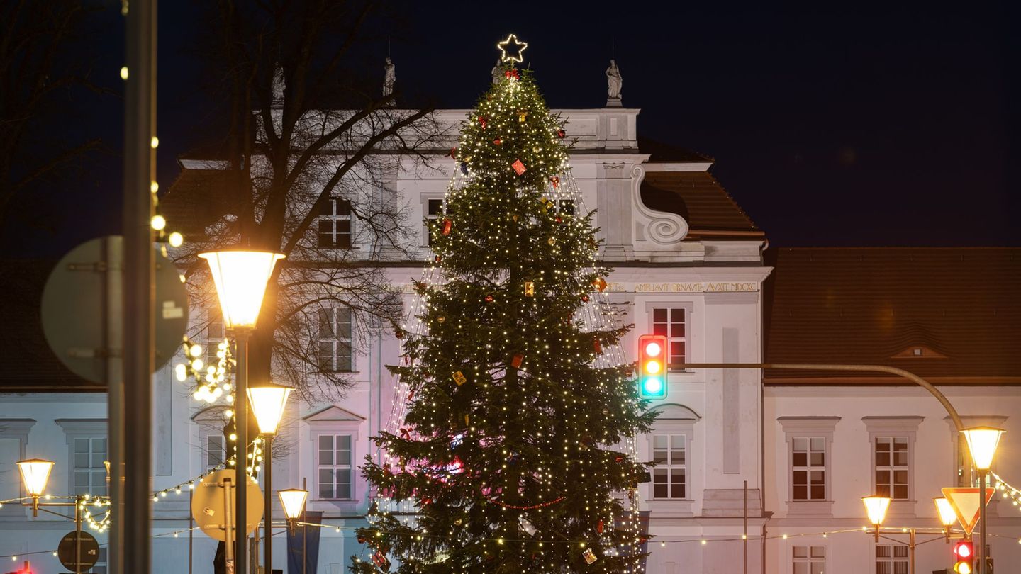 Die Stadt Oranienburg ist auf der Suche nach einem Weihnachtsbaum für die nächste Adventszeit. (Archivfoto) Foto: Soeren Stache/