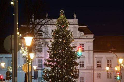 Die Stadt Oranienburg ist auf der Suche nach einem Weihnachtsbaum für die nächste Adventszeit. (Archivfoto) Foto: Soeren Stache/
