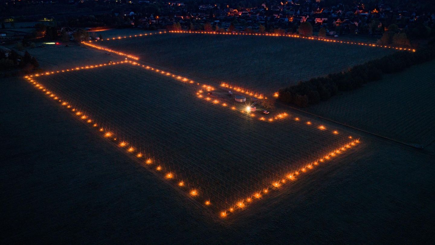 Weinböhla, Deutschland. Feuer brennen zwischen den Rebstöcken in einem Weinberg in Sachsen. Auf acht frostgefährdeten Rebflächen und Junganlagen des Staatsweinguts Schloss Wackerbarth wollen die Winzer die Reben mit kleinen, kontrollierten Weinbergsfeuern vor den Spätfrösten schützen. Diese leuchten auf einer Fläche von 30 Hektar und damit einem Drittel der gesamten Rebfläche von Schloss Wackerbarth.