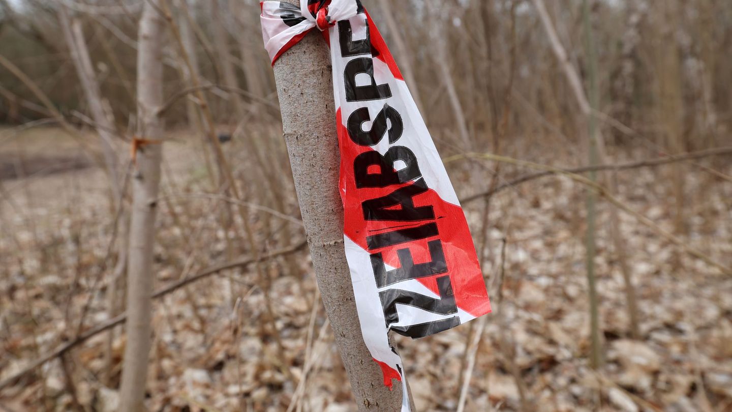 Einen grausigen Fund hat ein Spaziergänger in der Rostocker Südstadt gemacht: eine Leiche in einer Art selbstgebauten Schubkarre