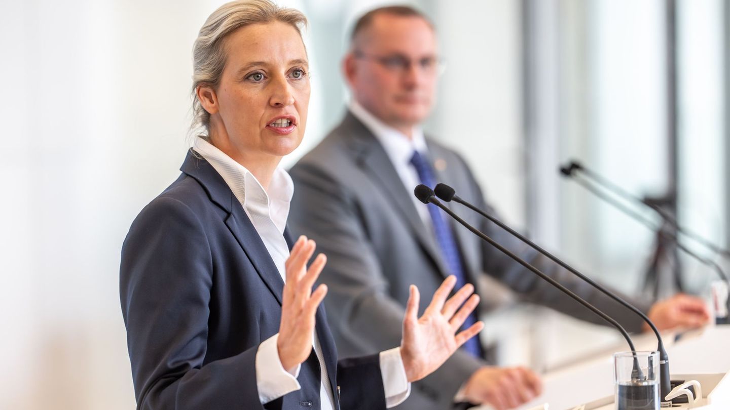 Die AfD spielt Szenarien möglicher Regierungsbeteiligungen durch etwa nach den Landtagswahlen in Sachsen-Anhalt und Mecklenburg-