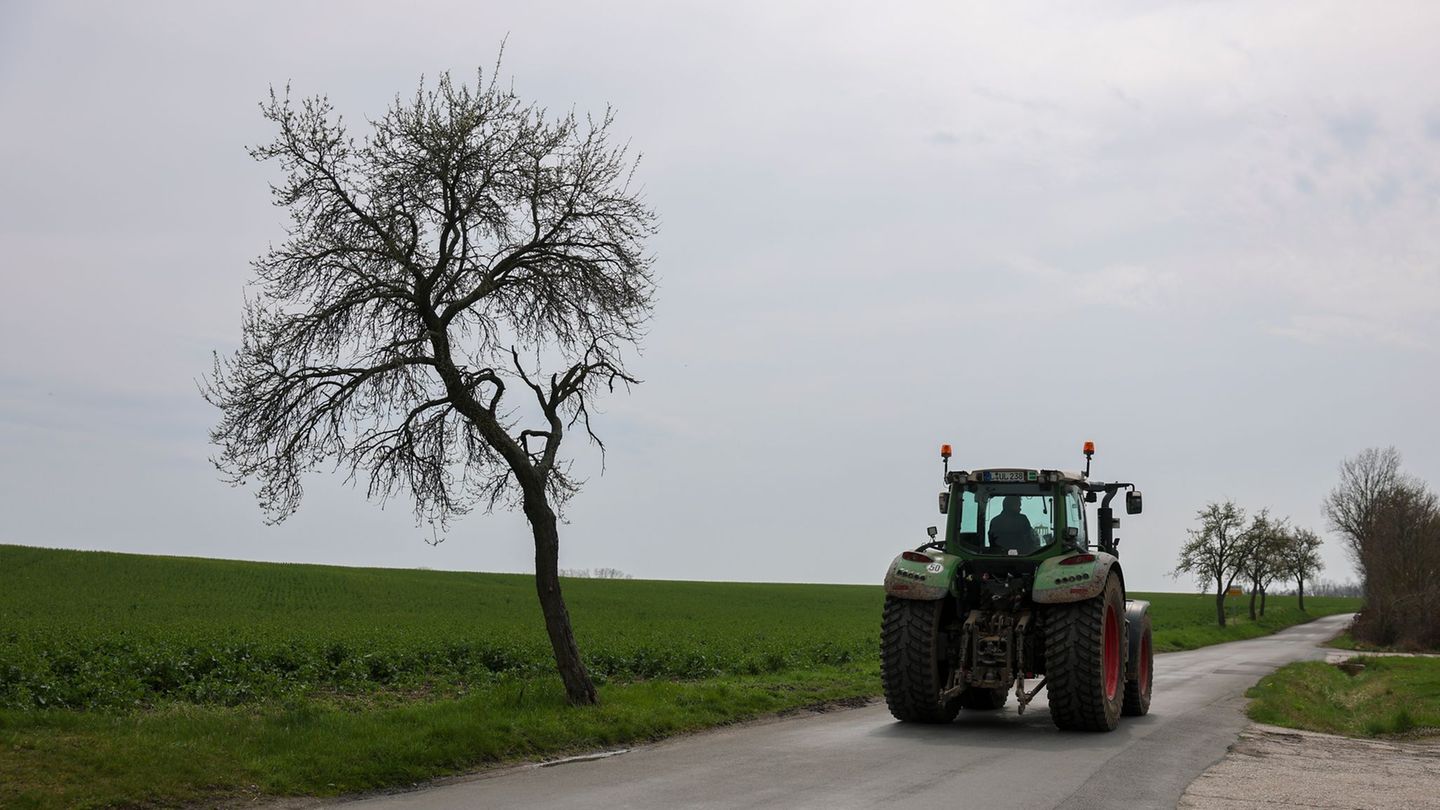 Teurer Sprit für die auf Feldern benötigten Maschinen belastet Obst- und Gemüsebauern. (Archivbild) Foto: Jan Woitas/dpa