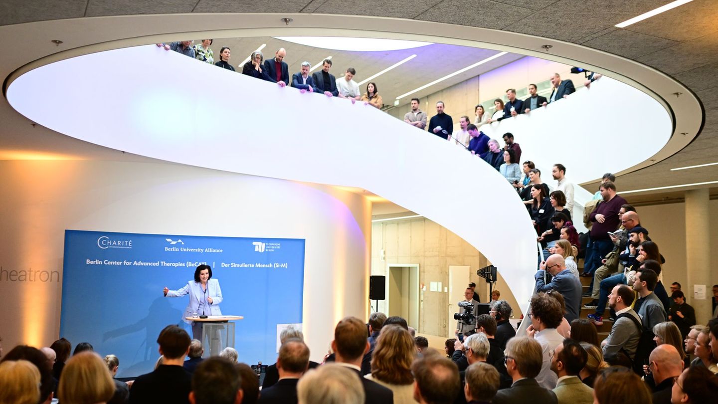 Die Bundesforschungsministerin sprach bei der Eröffnung der Zentren. Foto: Sebastian Gollnow/dpa