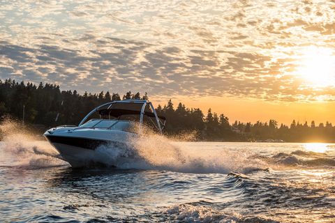 Ein Sportboot in Fahrt vor der Küste eines Sees, im Hintergrund sind Bäume zu sehen, die Sonne scheint