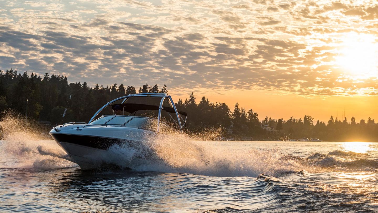 Ein Sportboot in Fahrt vor der Küste eines Sees, im Hintergrund sind Bäume zu sehen, die Sonne scheint