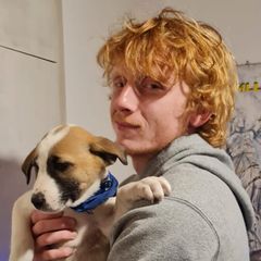 Israel: Yotam Haim war Geisel der Hamas