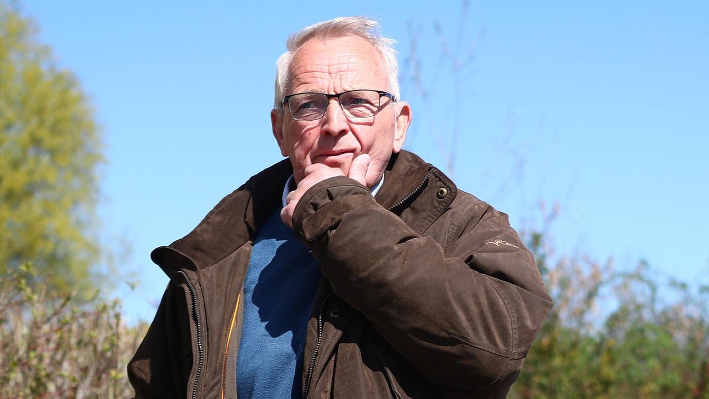 Wal-Newsblog: Wal in kritischem Zustand – was Backhaus trotzdem Hoffnung macht