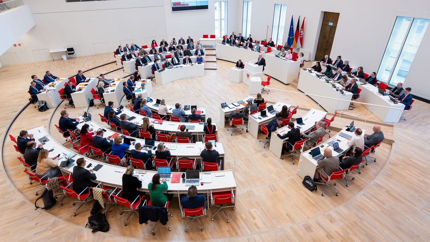 Die Abgeordneten im Brandenburger Landtag haben neuen Gesetzen zugestimmt. (Symbolbild) Foto: Soeren Stache/dpa