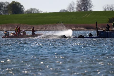 Walretter in Poel / Timmy