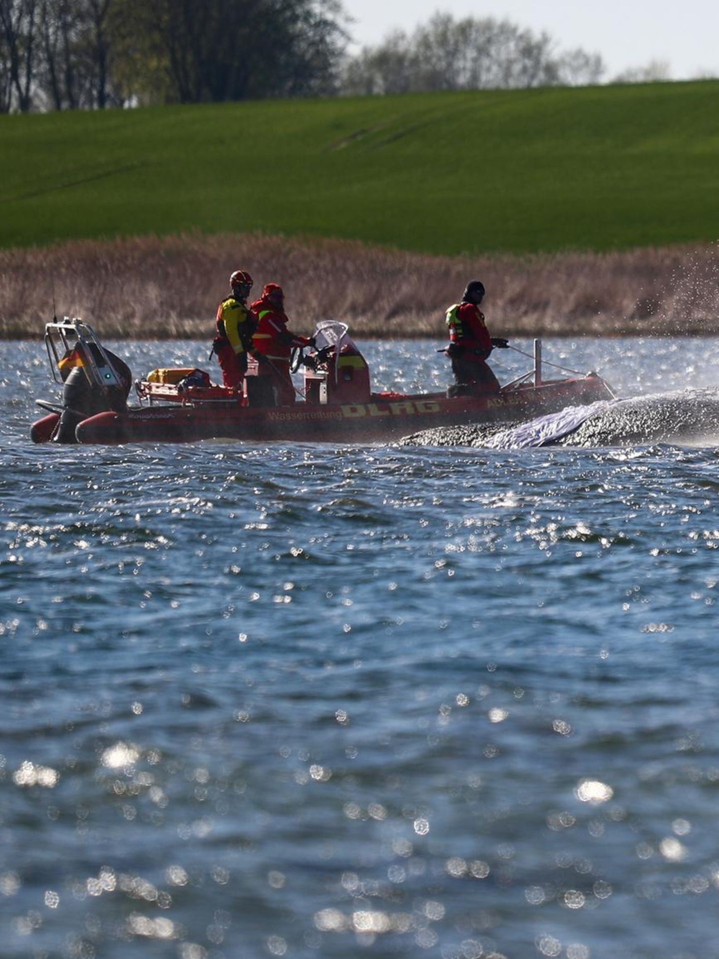 Walretter in Poel / Timmy