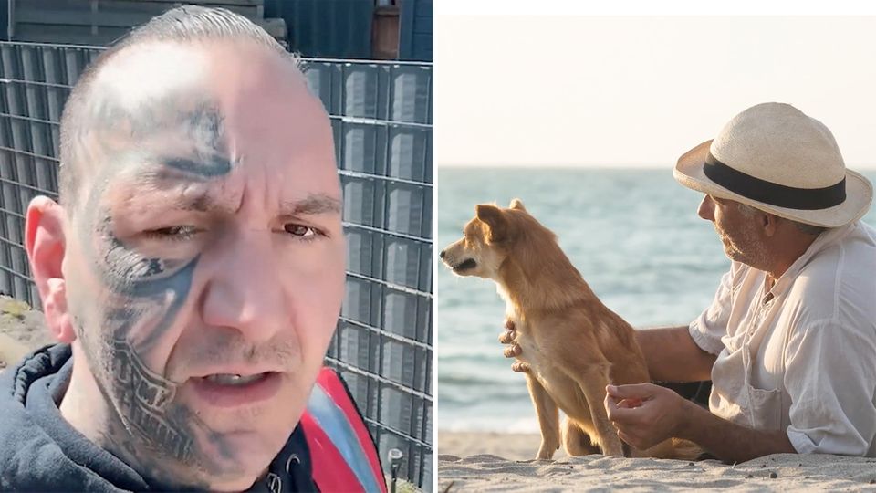 Das sind die selbsterklärten Walretter auf Poel