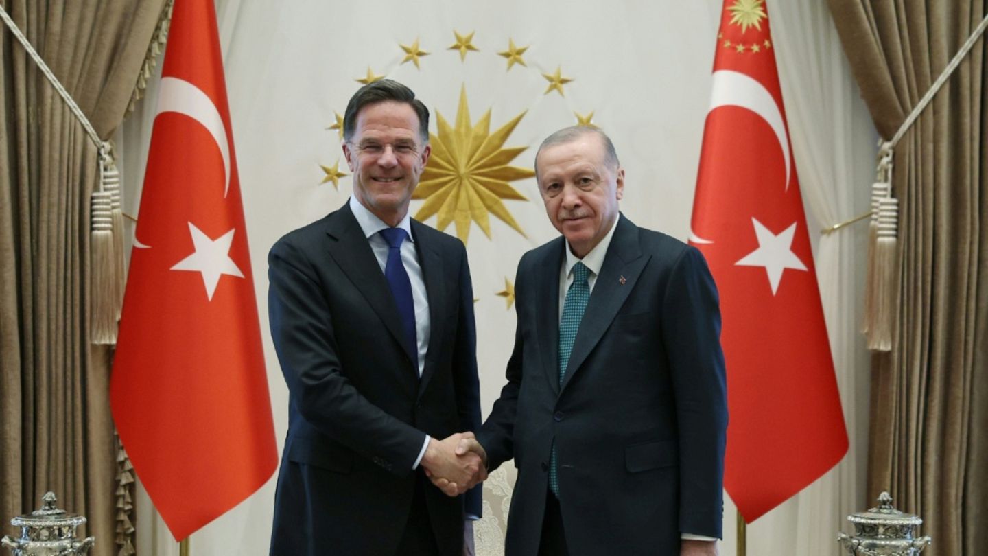 Rutte und Erdogan in Ankara