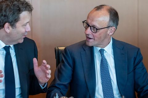 Und täglich grüßt die Reform-Sau