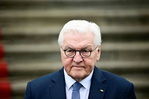 Bundespräsident Steinmeier