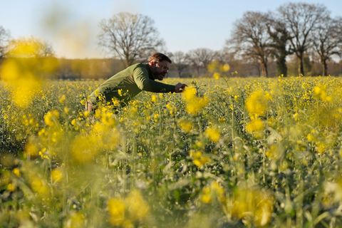 Eine Bekämpfung der Käfer sei nur eingeschränkt möglich, sagt Landwirt Mathis Müller. Foto: Christian Charisius/dpa