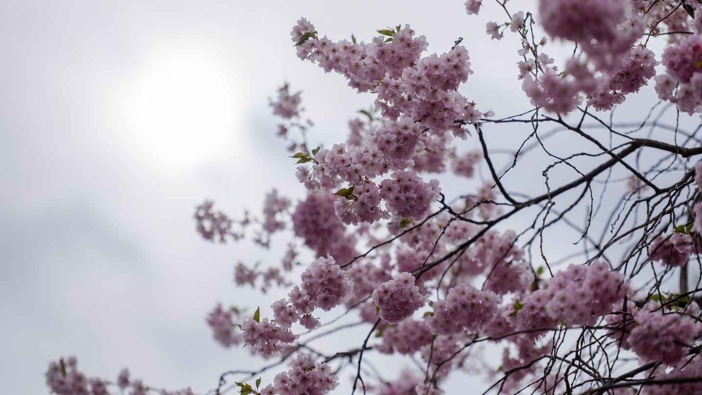 Wetter: Nebel und Sonne in Berlin und Brandenburg