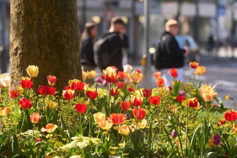 Die Temperaturen liegen in den kommenden Tagen bei bis zu 23 Grad. Foto: Thomas Frey/dpa