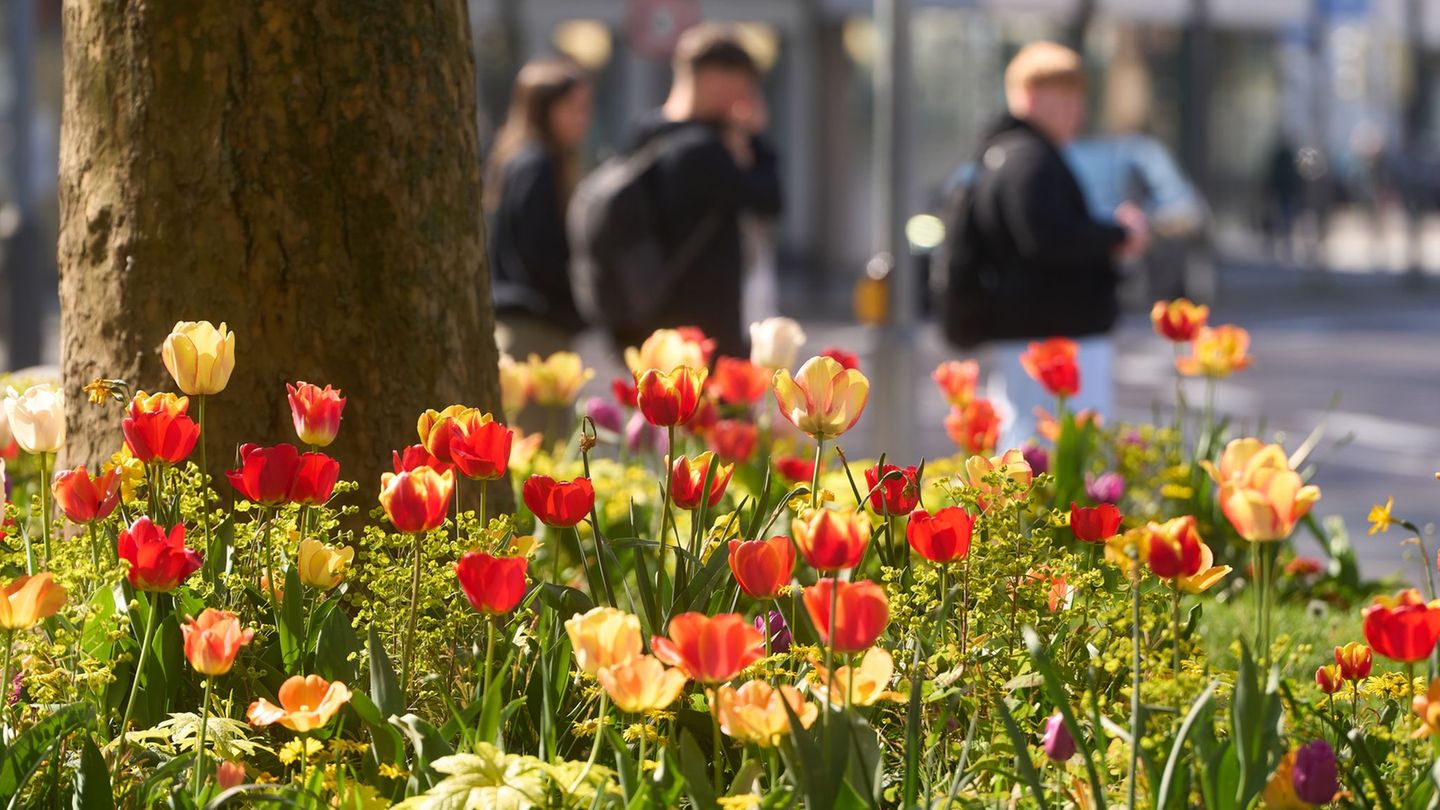 Wetter: Temperaturen bis 23 Grad in Rheinland-Pfalz und im Saarland