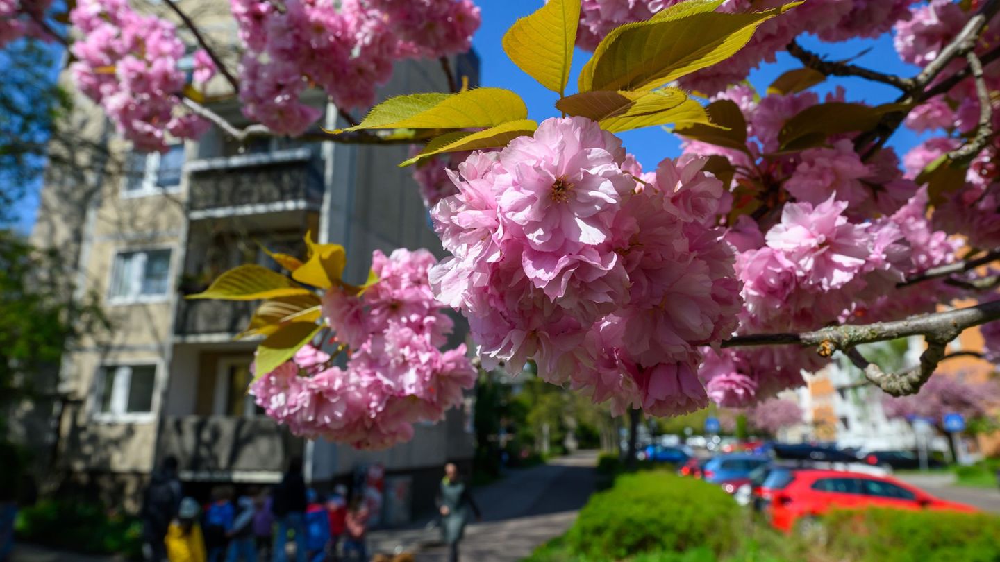 Am Donnerstag steigt das Thermometer laut Deutschem Wetterdienst in Teilen Ostdeutschlands auf bis zu 20 Grad. (Archivbild) Foto