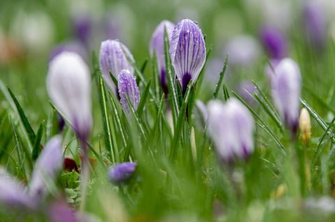 Unter Hochdruckeinfluss bleibt es in Niedersachsen und Bremen überwiegend trocken. (Symbolbild) Foto: Hauke-Christian Dittrich/d