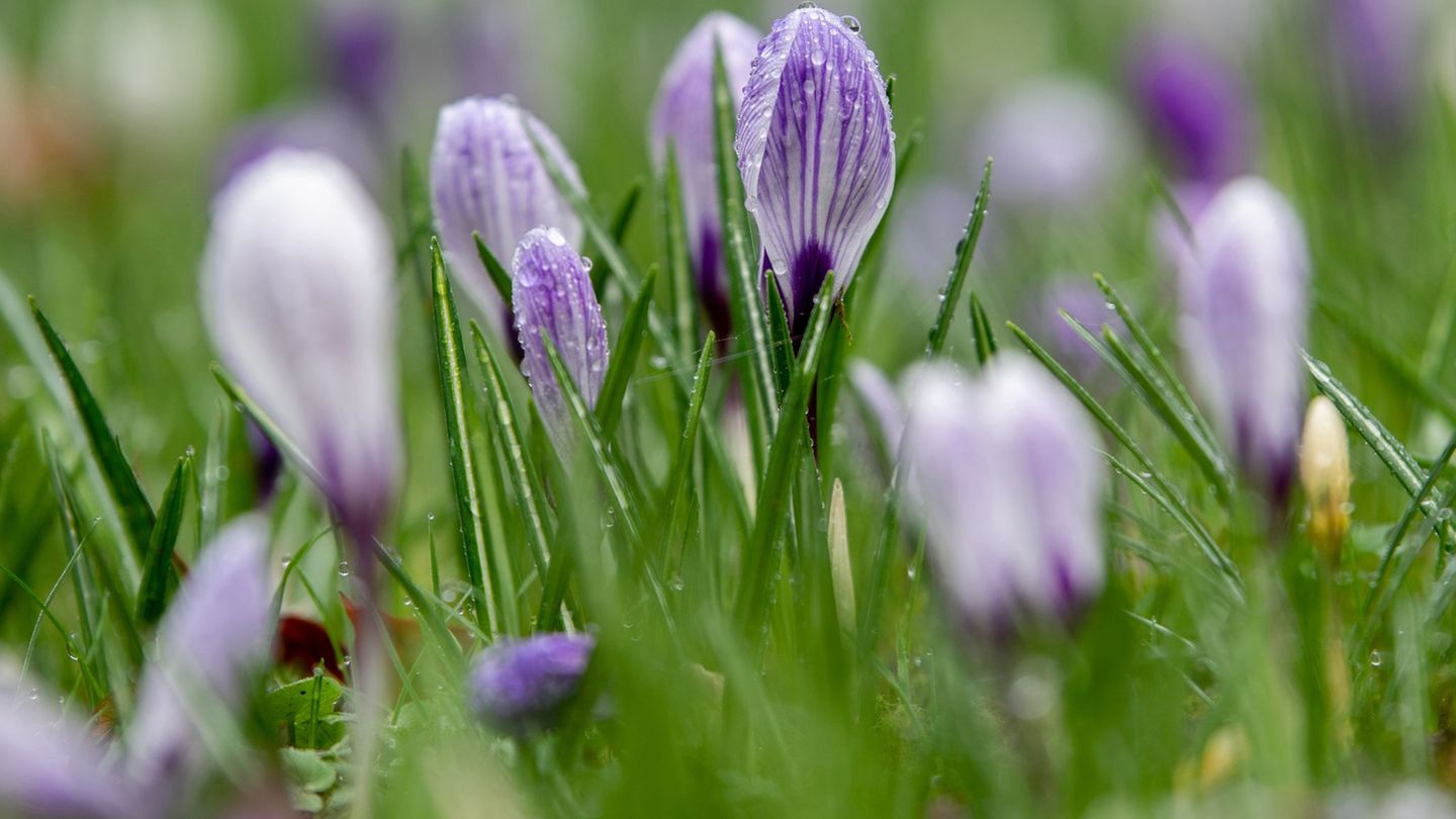 Unter Hochdruckeinfluss bleibt es in Niedersachsen und Bremen überwiegend trocken. (Symbolbild) Foto: Hauke-Christian Dittrich/d