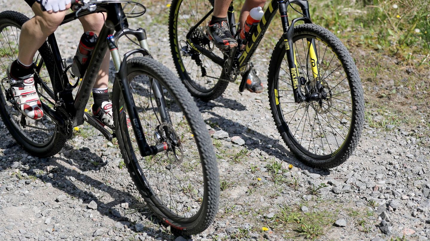 Beim Mountainbiken hat sich ein 43-Jähriger schwer verletzt. (Symbolbild) Foto: Jan Woitas/dpa