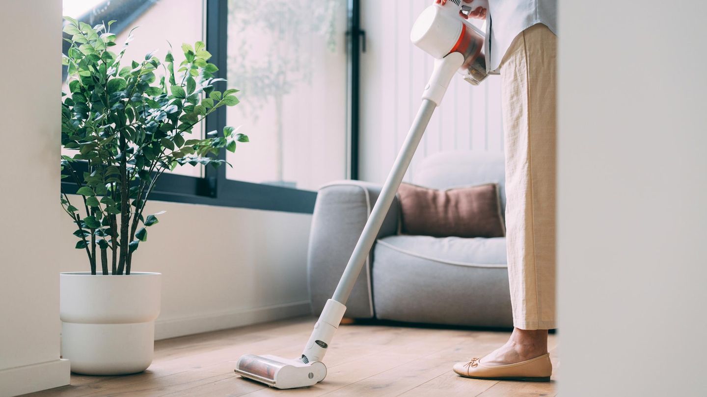 Akku-Staubsauger von Shark