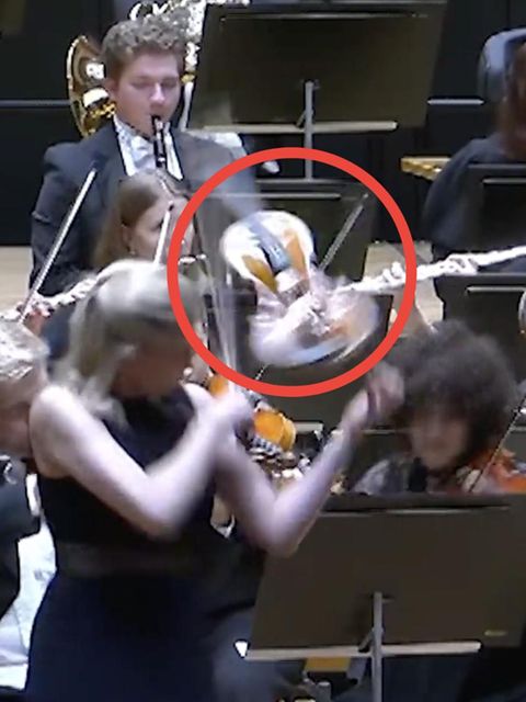 Enthusiastischer Dirigent haut Solistin Millionen-Geige aus der Hand