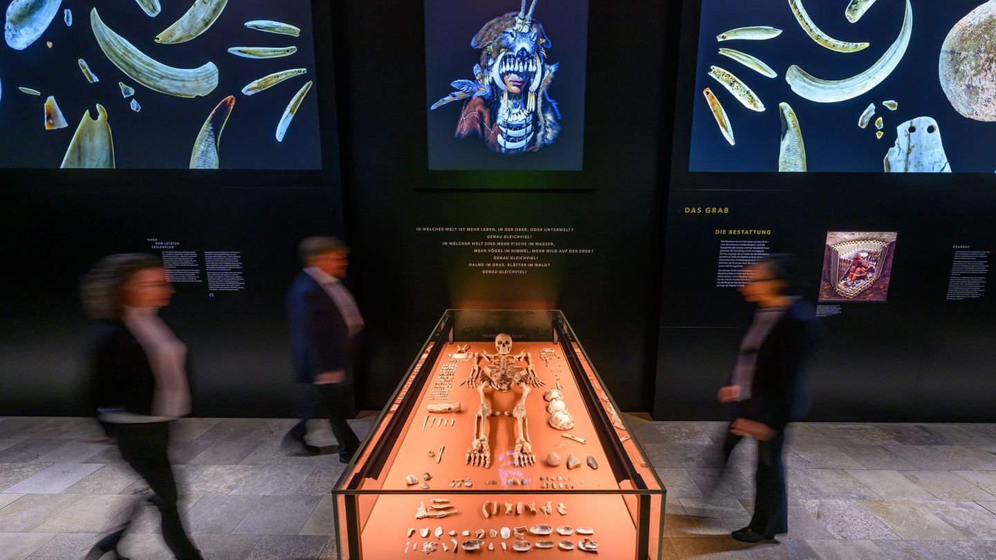 Das Grab der Schamanin von Bad Dürrenberg wird in einer neuen Ausstellung des Landesmuseums für Vorgeschichte in Halle/Saale gez