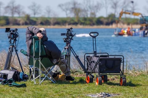 Ein Wal hat teils internationale Presse auf die Insel Poel gelockt