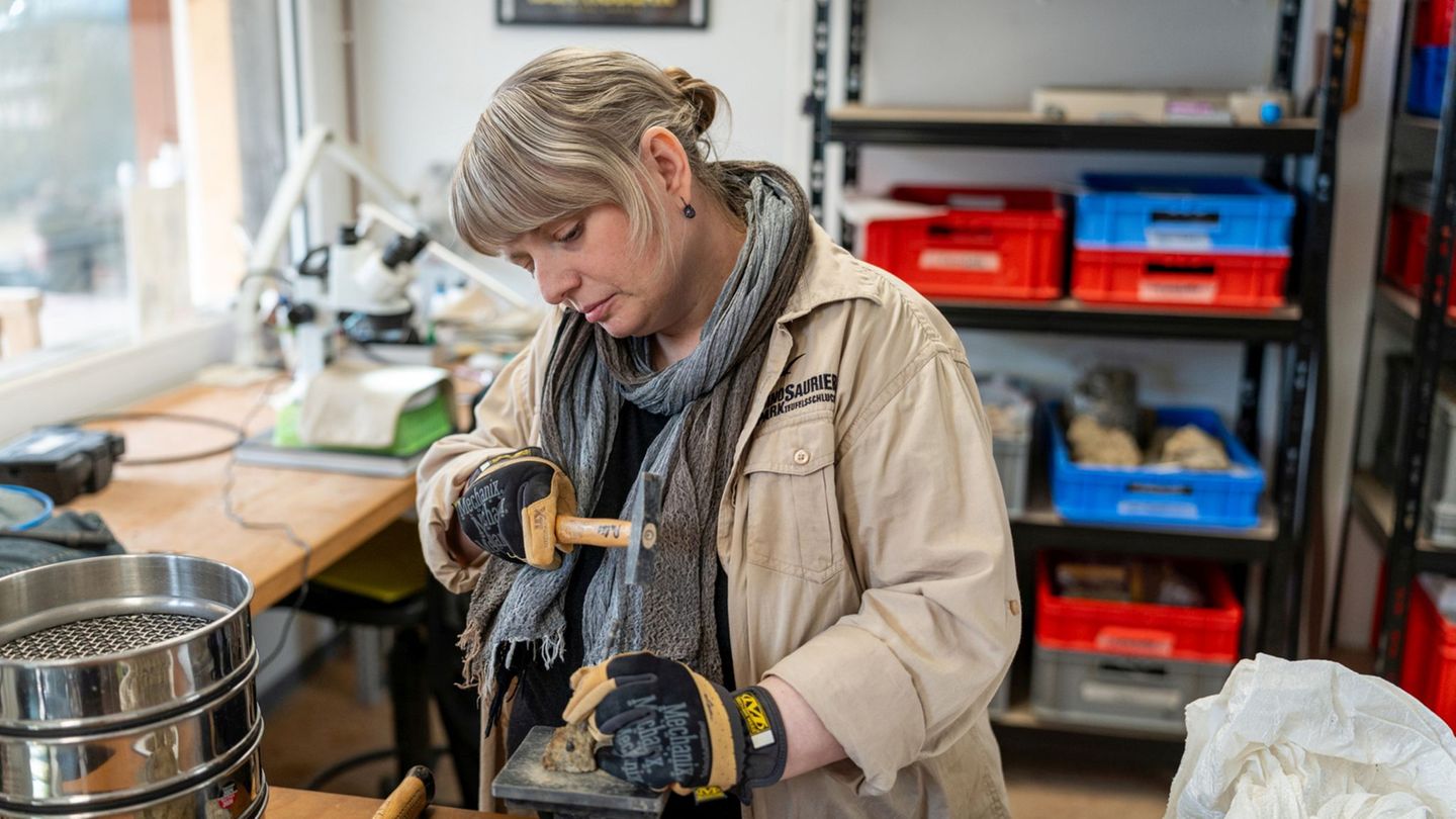 Die Paläontologin Lea Numberger-Thuy vom Dinosaurierpark Teufelsschlucht in Ernzen. Foto: LMZ Media/Dinosaurierpark Teufelsschlu