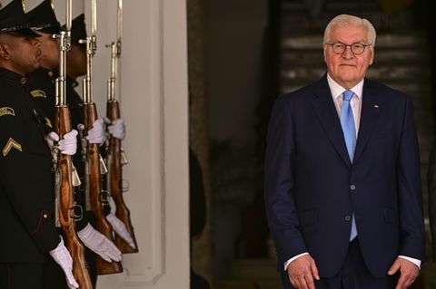 Bundespräsident Steinmeier