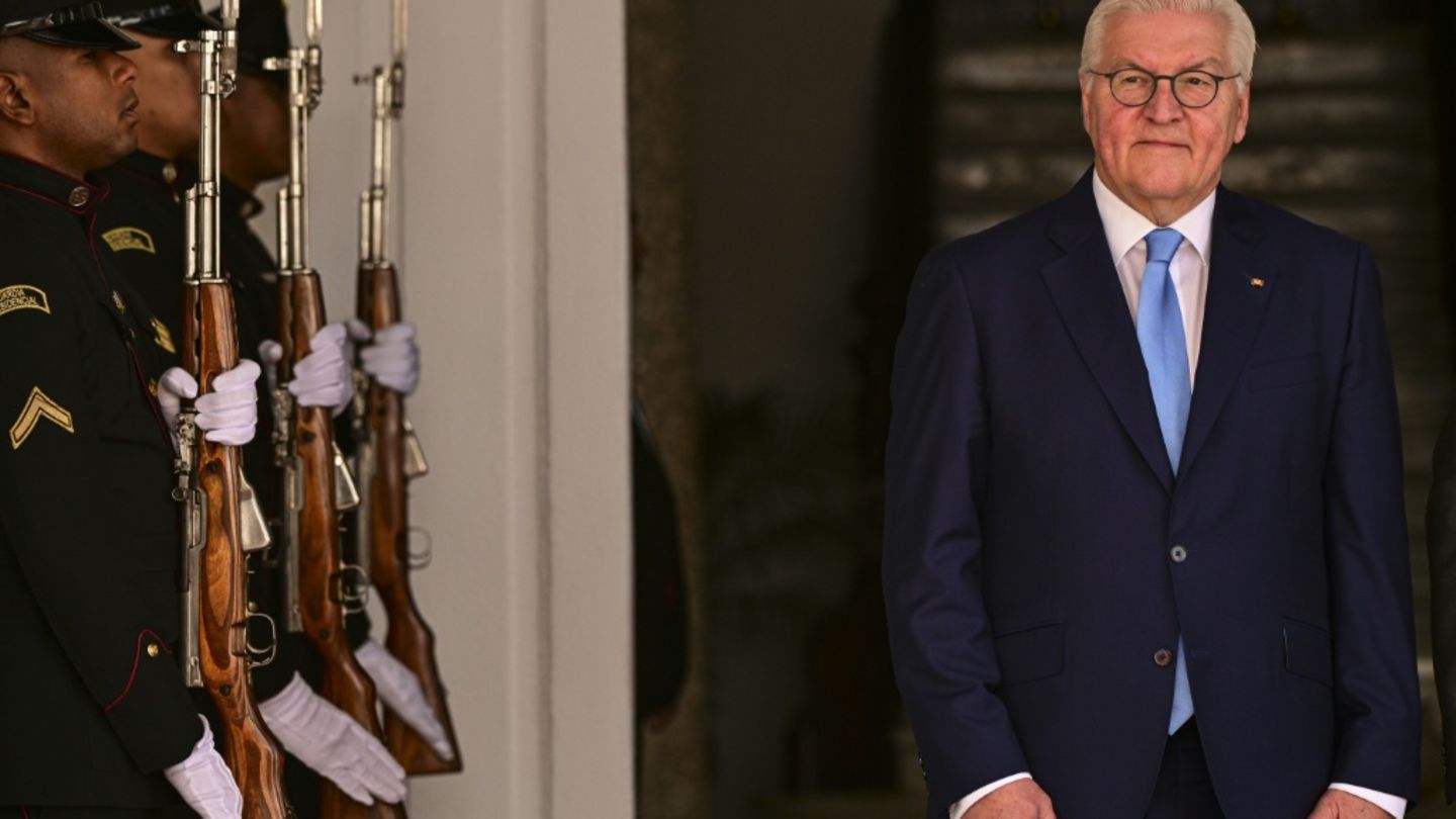 Bundespräsident Steinmeier