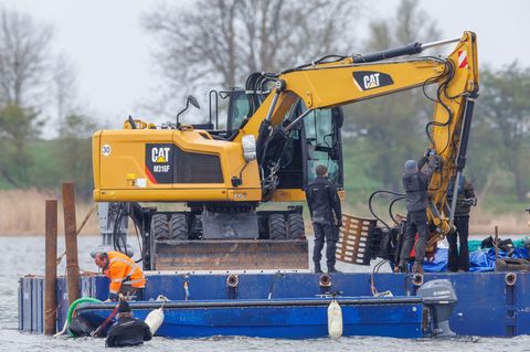Rinne für den gestrandeten Buckelwal wird frei gespült. Foto: Jens Büttner/dpa