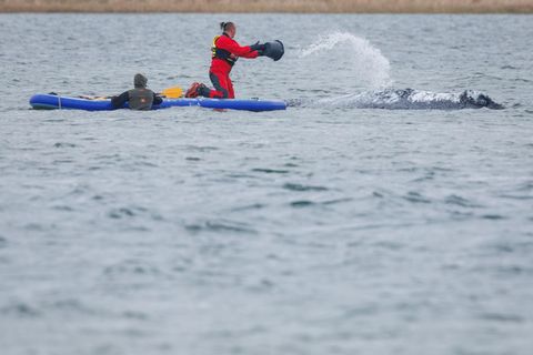Der Buckelwal wird von Helfern vor der Insel Poel mit Wasser bespritzt