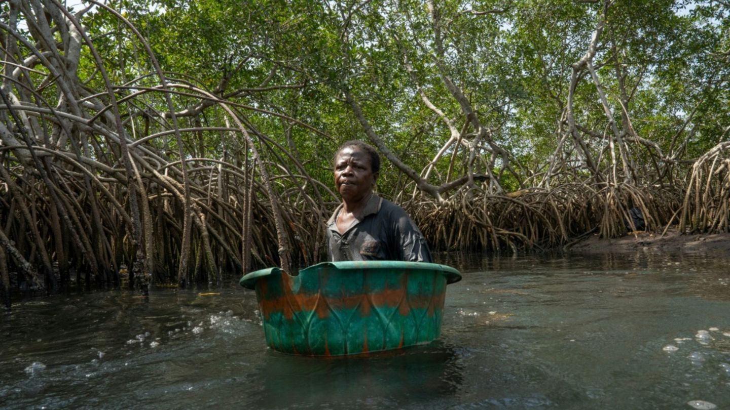 Bedrohte Lebensgrundlage